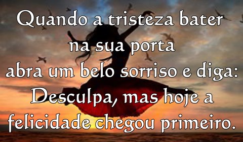 vida-feliz