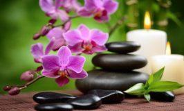 Como atrair prosperidade através das flores usando Feng Shui