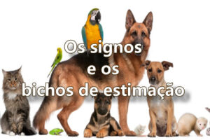 O pet perfeito para cada signo do zodíaco