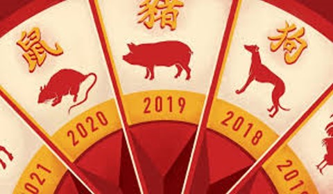 Ano Novo Chinês 2024: Ano do Dragão de Madeira Yang