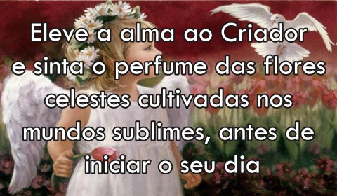 anjo-pensamentos-positivos