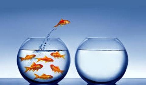 Transformar o dia com atitudes positivas