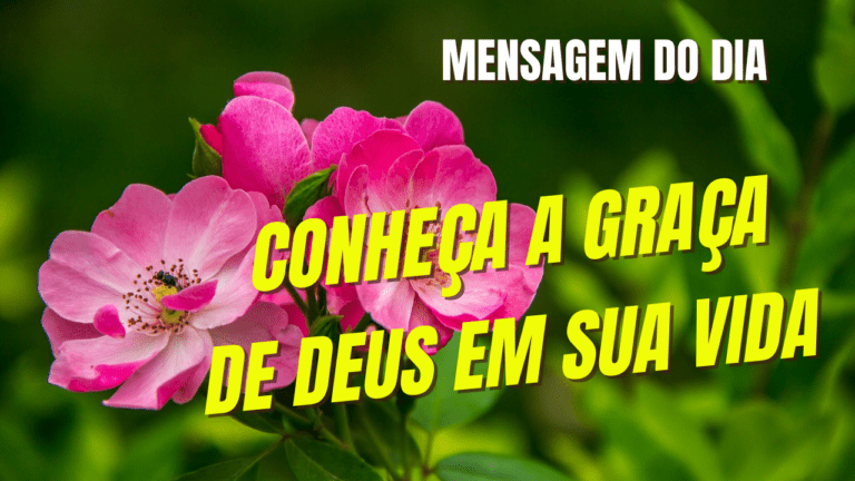 Conheça a graça de Deus em sua vida - Portal Angels