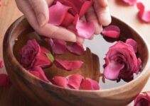 Banho de Primavera: atraia boas energias com a magia das flores
